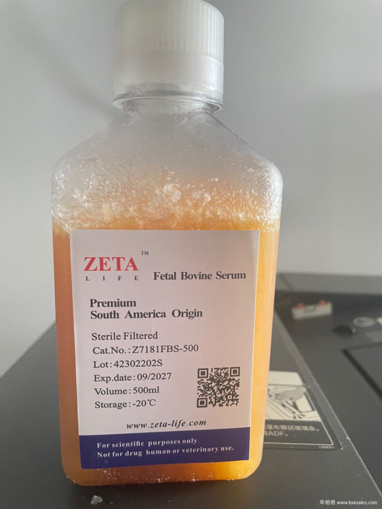 乌拉圭胎牛血清